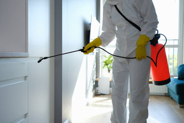 Best Office Mold Removal Services  in Riceville, TN